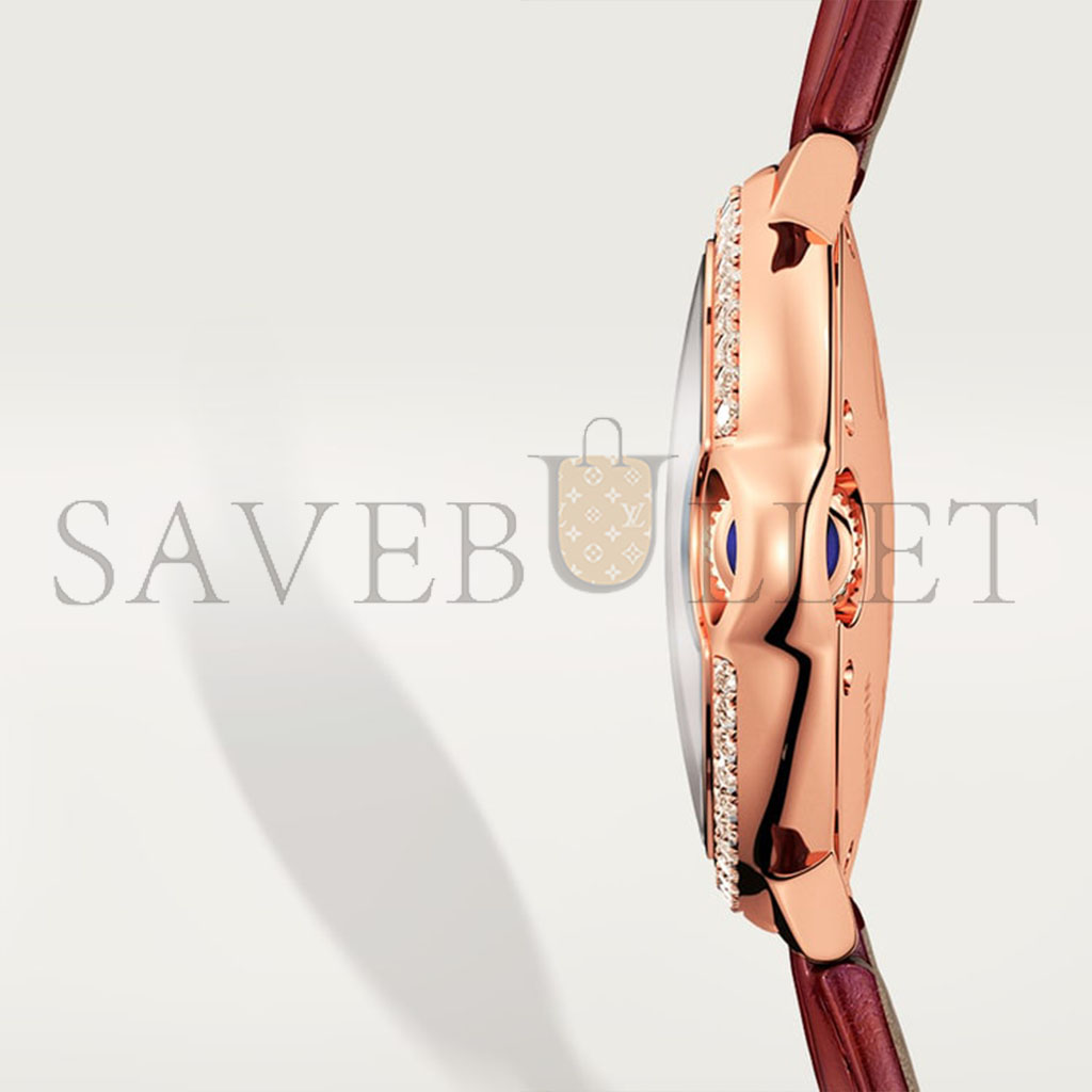 Ca*t*er ballon bleu de Ca*t*er watch wjbb0033