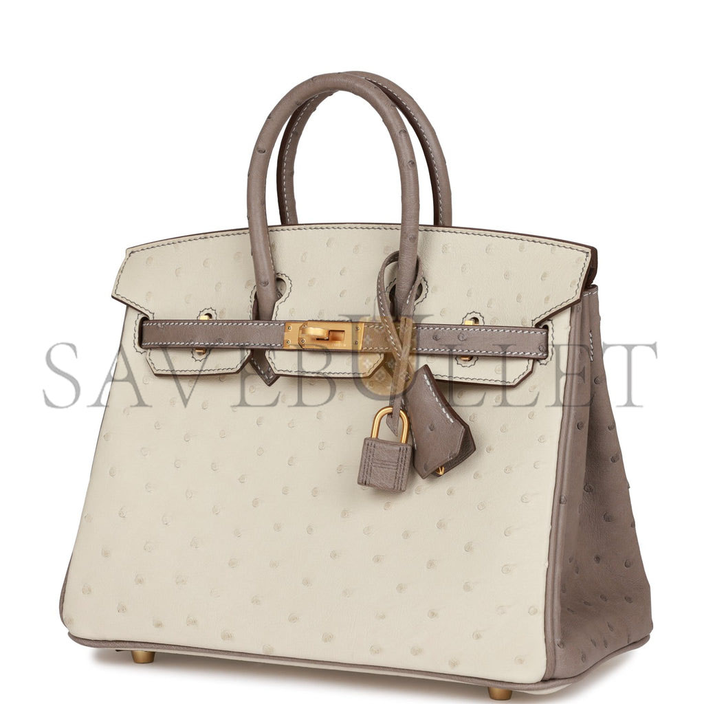 H**mes special order (hss) birkin 25 beton and gris asphalte ostrich brushed gold hardware handmade (25cm)